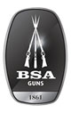BSA Guns At The British Shooting Show