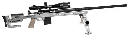 Dolphin Guns F T/R Rifle .308 Win Calibre At The British Shooting Show
