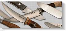 Gun Dog Hall and Scurries At The British Shooting Show