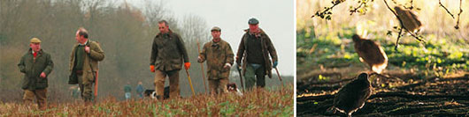 Gamekeeping Hall At The British Shooting Show
